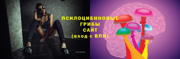 бошки Балахна
