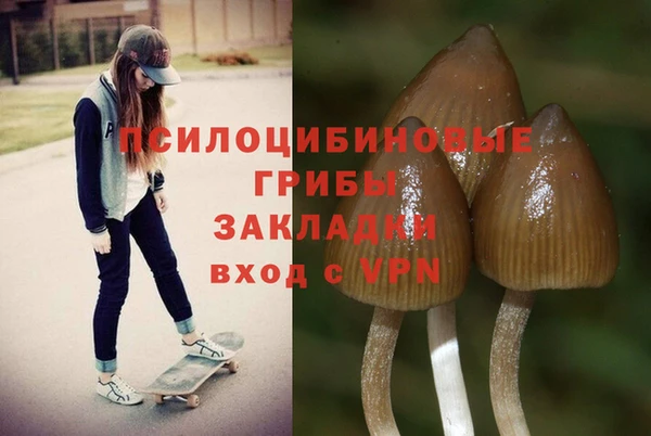a pvp Баксан