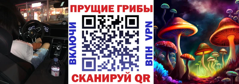 Псилоцибиновые грибы Psilocybine cubensis  это официальный сайт  Чёрмоз  мега ССЫЛКА 